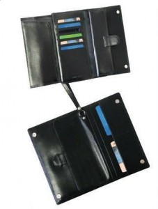 Travel organizer with strap