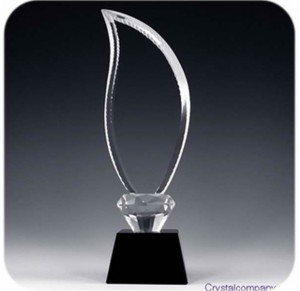 crystal flame trophy1